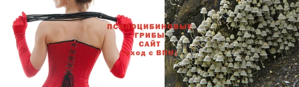 спайс Волоколамск