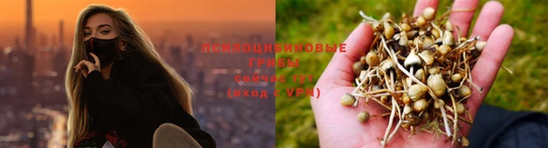 спайс Волоколамск