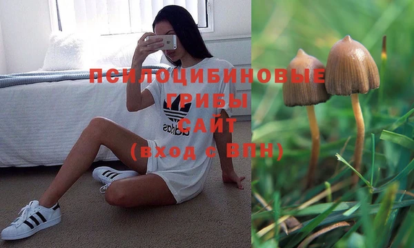 спайс Волоколамск
