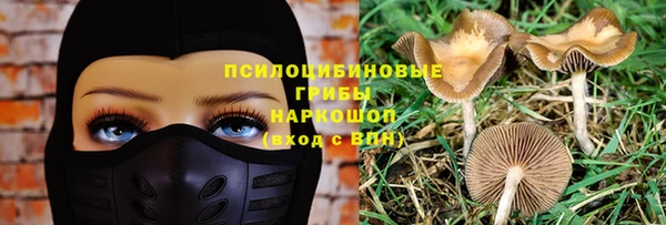 бошки Волосово