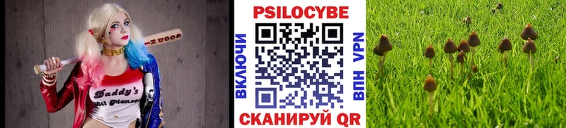Купить где  Тобольск  Псилоцибиновые грибы Cubensis 